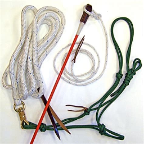 Skip to the end of the images gallery. . Natural horsemanship equipment